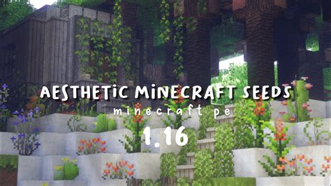 aesthetic minecraft seeds.